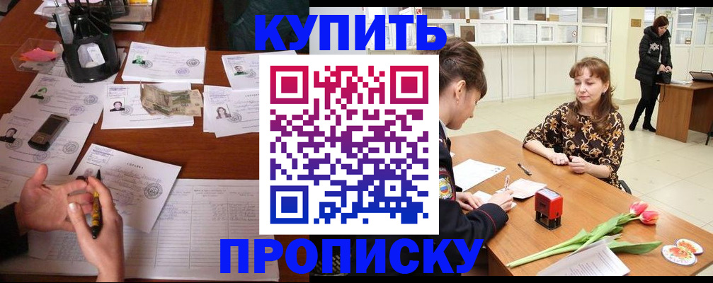 купить прописку в Новосибирской области